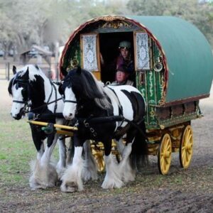 Transport to Bakersfield, CA